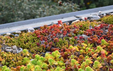 the cost of Hornsey green roof installation