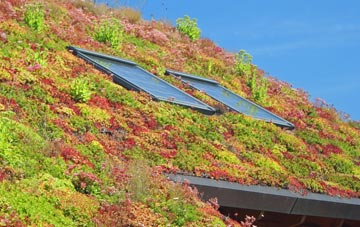 Hornsey living roof systems