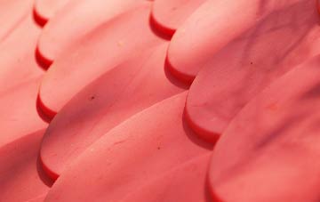 Hornsey plastic roof costs