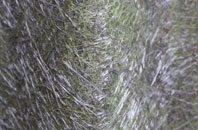 Hornsey fibreglass roof work